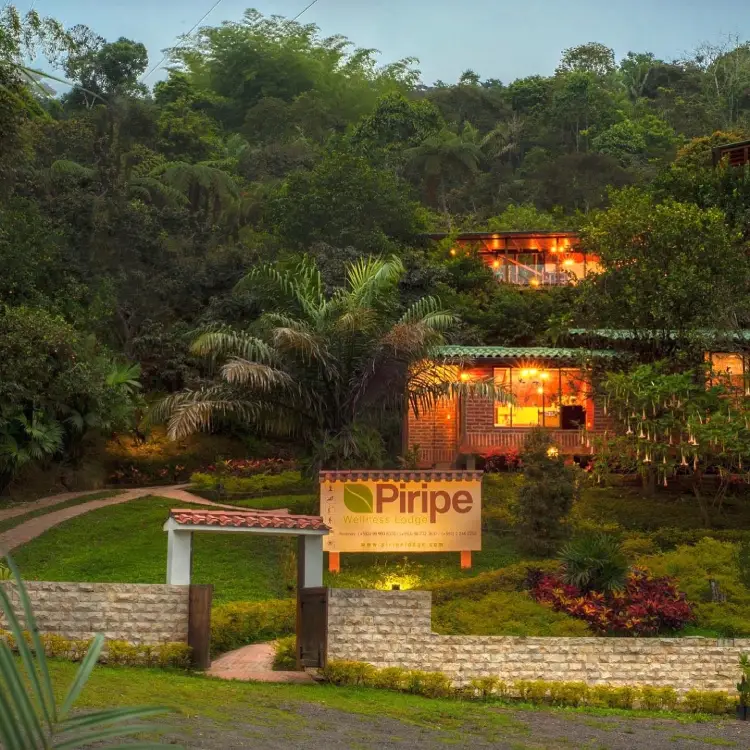 Piripe Lodge in the cloud forest